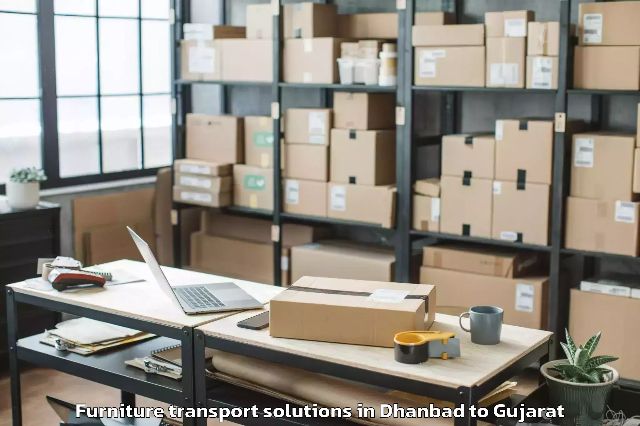 Top Dhanbad to Palitana Furniture Transport Solutions Available